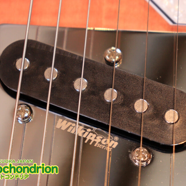 これから始める方にもお勧め！専用ギグケースが付属のテレキャスタータイプ！