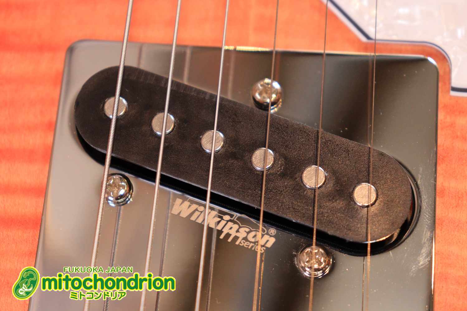 これから始める方にもお勧め！専用ギグケースが付属のテレキャスタータイプ！