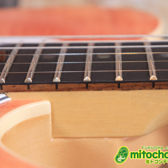 これから始める方にもお勧め！専用ギグケースが付属のテレキャスタータイプ！