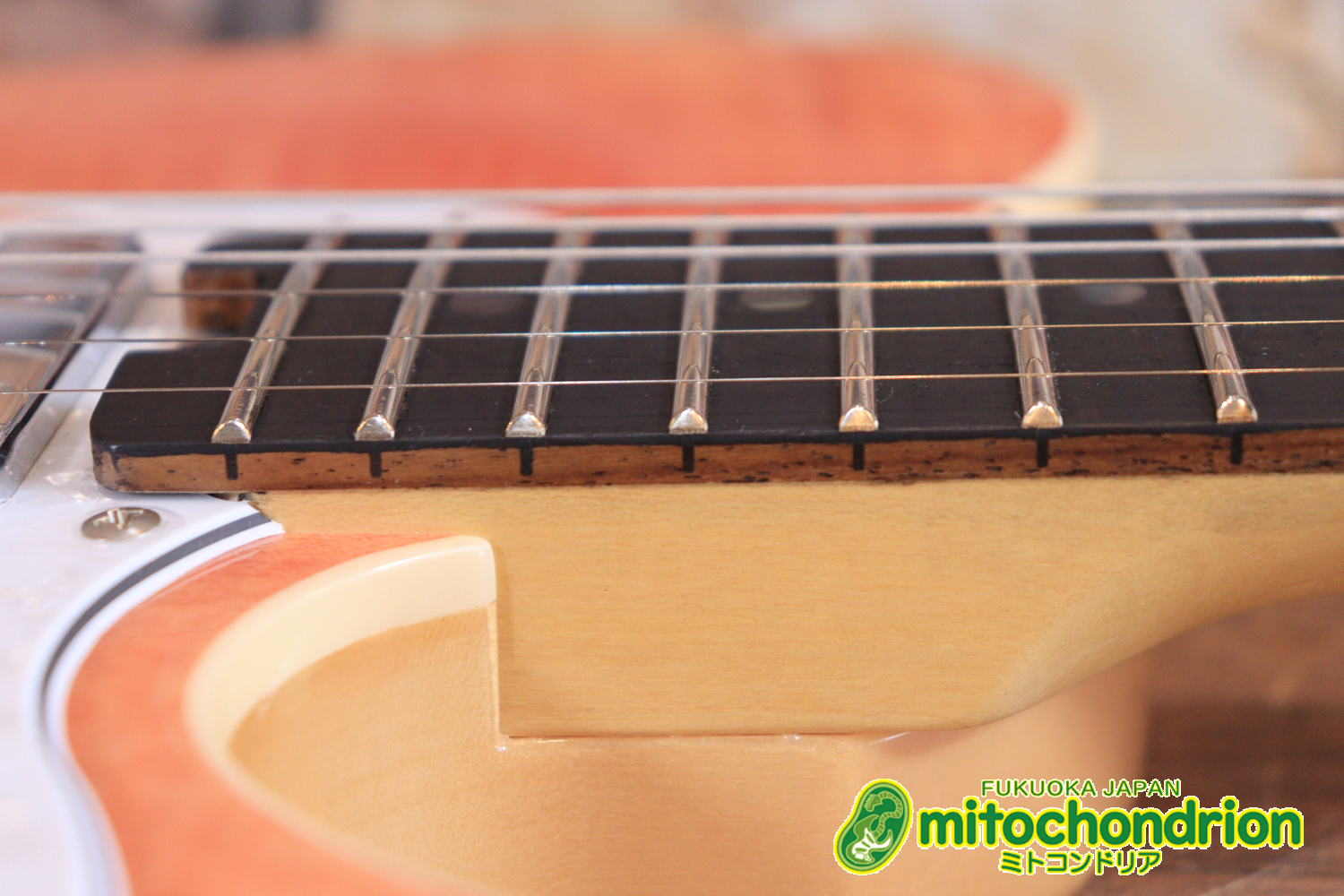 これから始める方にもお勧め！専用ギグケースが付属のテレキャスタータイプ！