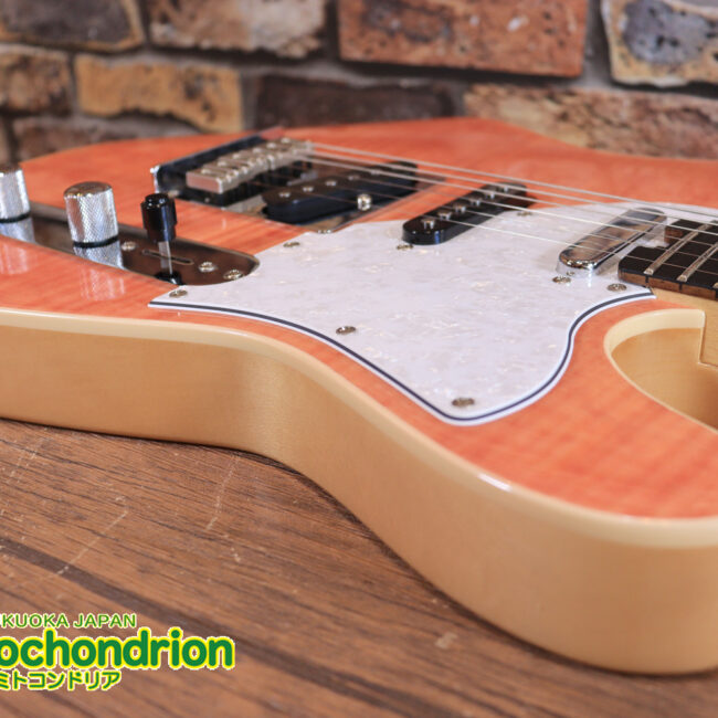 これから始める方にもお勧め！専用ギグケースが付属のテレキャスタータイプ！