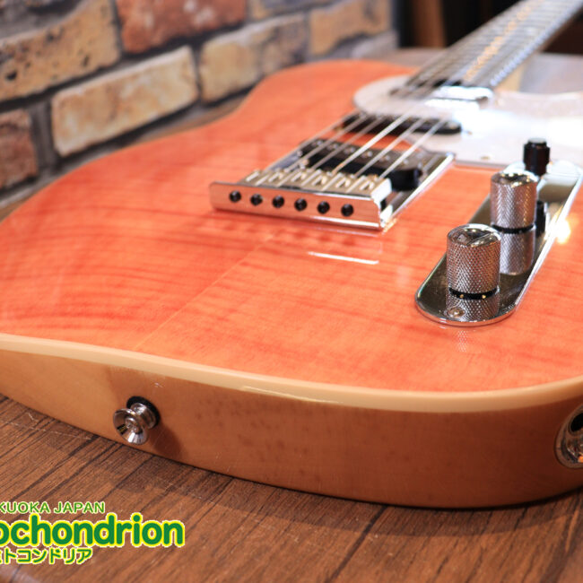 これから始める方にもお勧め！専用ギグケースが付属のテレキャスタータイプ！