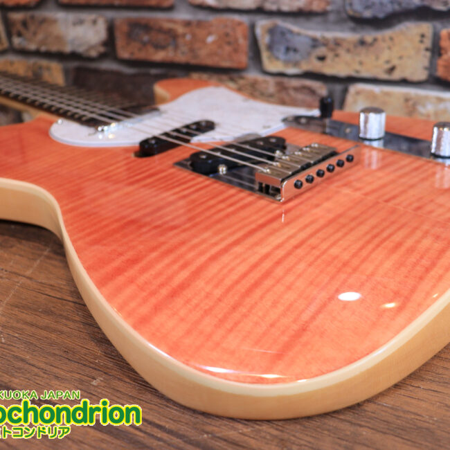 これから始める方にもお勧め！専用ギグケースが付属のテレキャスタータイプ！