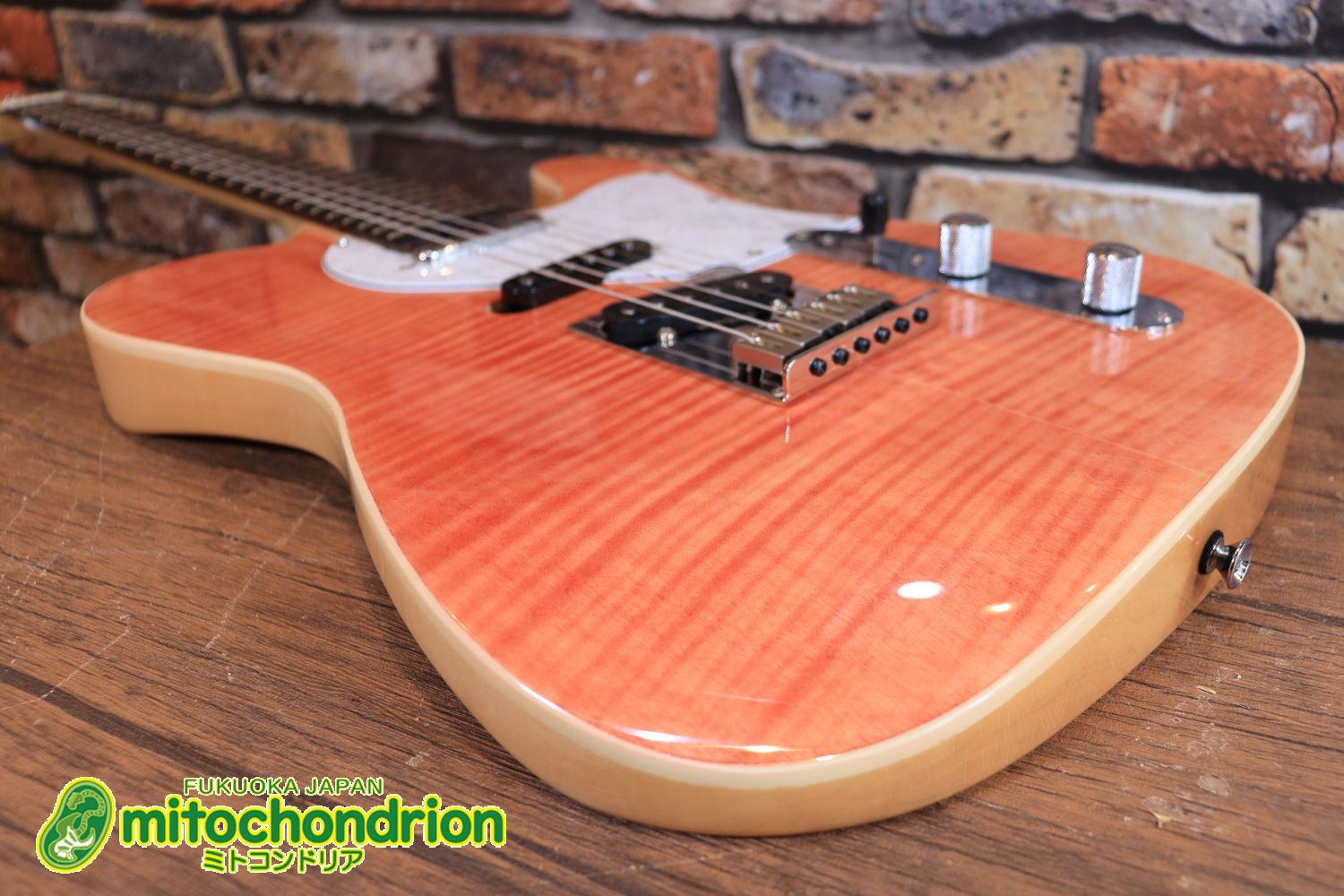 これから始める方にもお勧め！専用ギグケースが付属のテレキャスタータイプ！