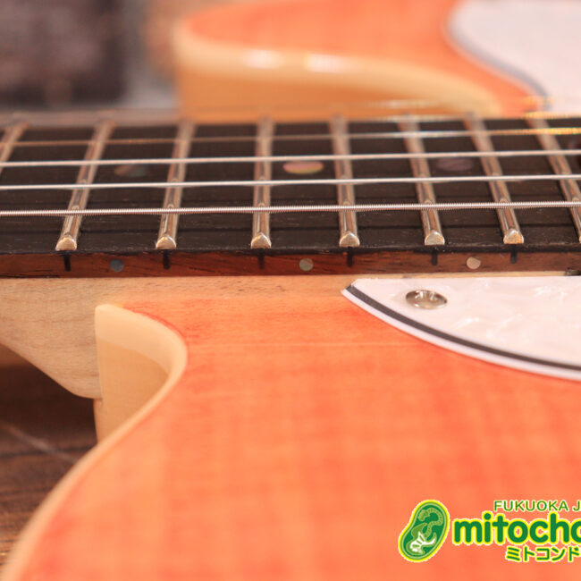 これから始める方にもお勧め！専用ギグケースが付属のテレキャスタータイプ！