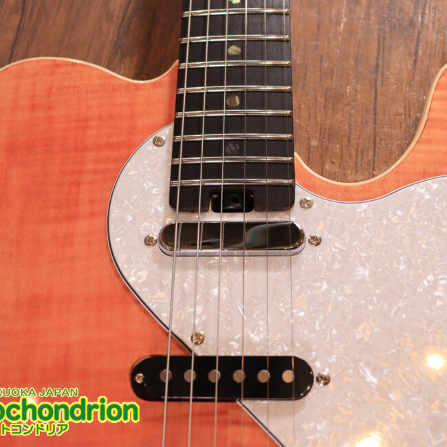 これから始める方にもお勧め！専用ギグケースが付属のテレキャスタータイプ！