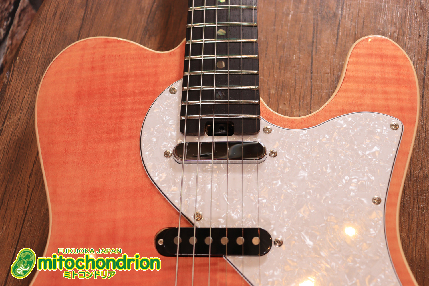 これから始める方にもお勧め！専用ギグケースが付属のテレキャスタータイプ！