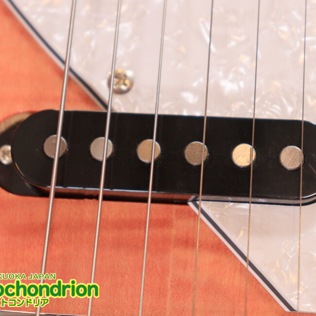 これから始める方にもお勧め！専用ギグケースが付属のテレキャスタータイプ！