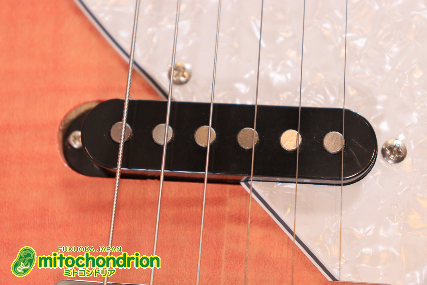 これから始める方にもお勧め！専用ギグケースが付属のテレキャスタータイプ！