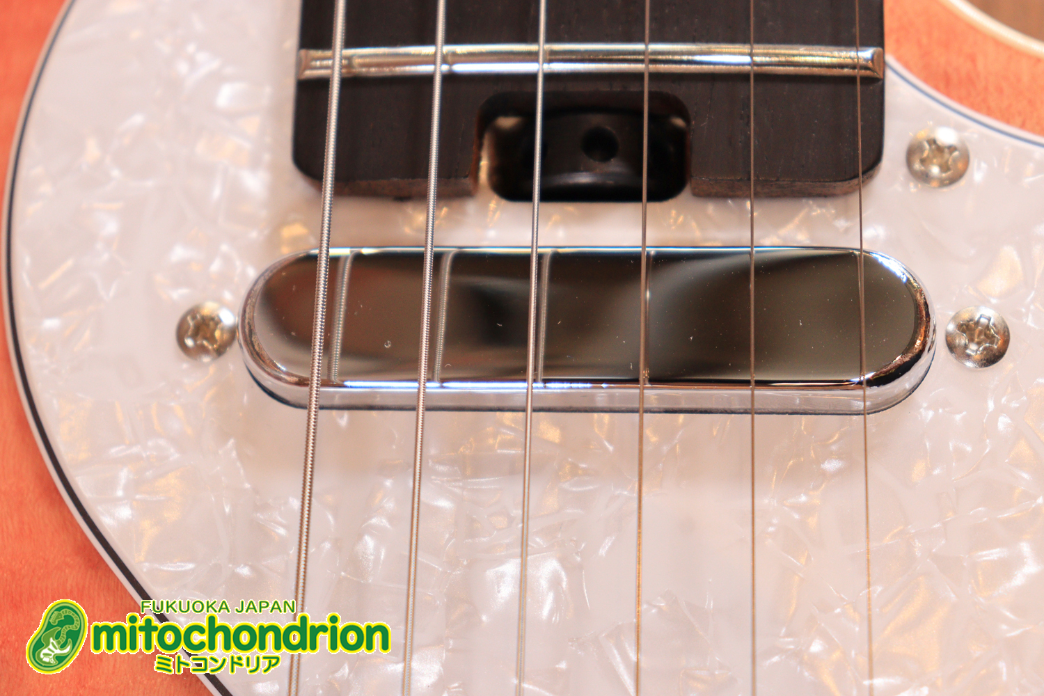 これから始める方にもお勧め！専用ギグケースが付属のテレキャスタータイプ！