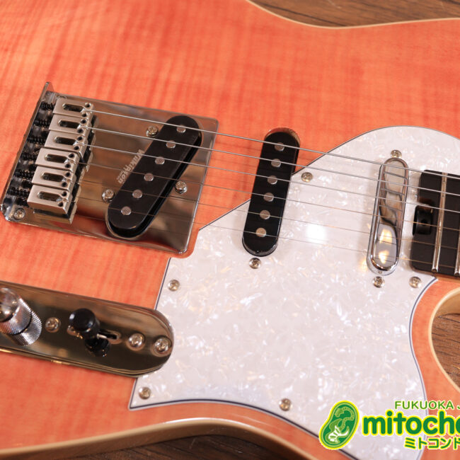 これから始める方にもお勧め！専用ギグケースが付属のテレキャスタータイプ！