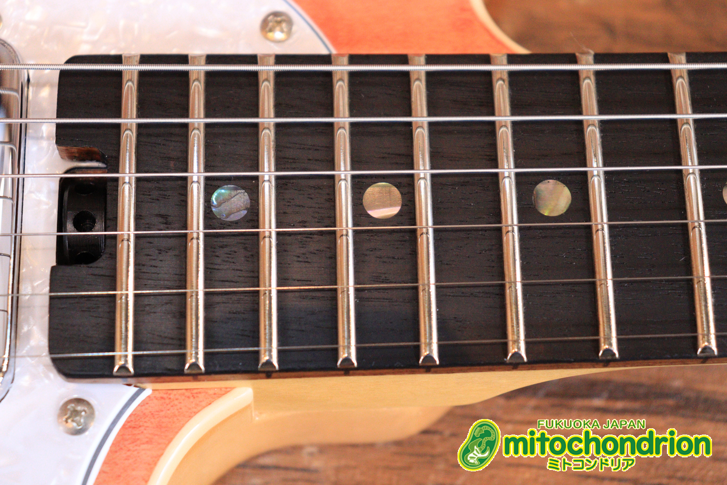 これから始める方にもお勧め！専用ギグケースが付属のテレキャスタータイプ！