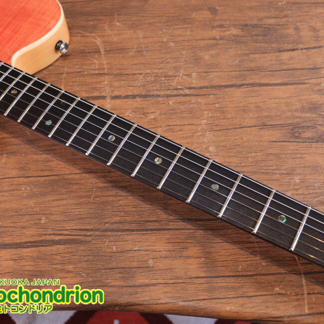 これから始める方にもお勧め！専用ギグケースが付属のテレキャスタータイプ！