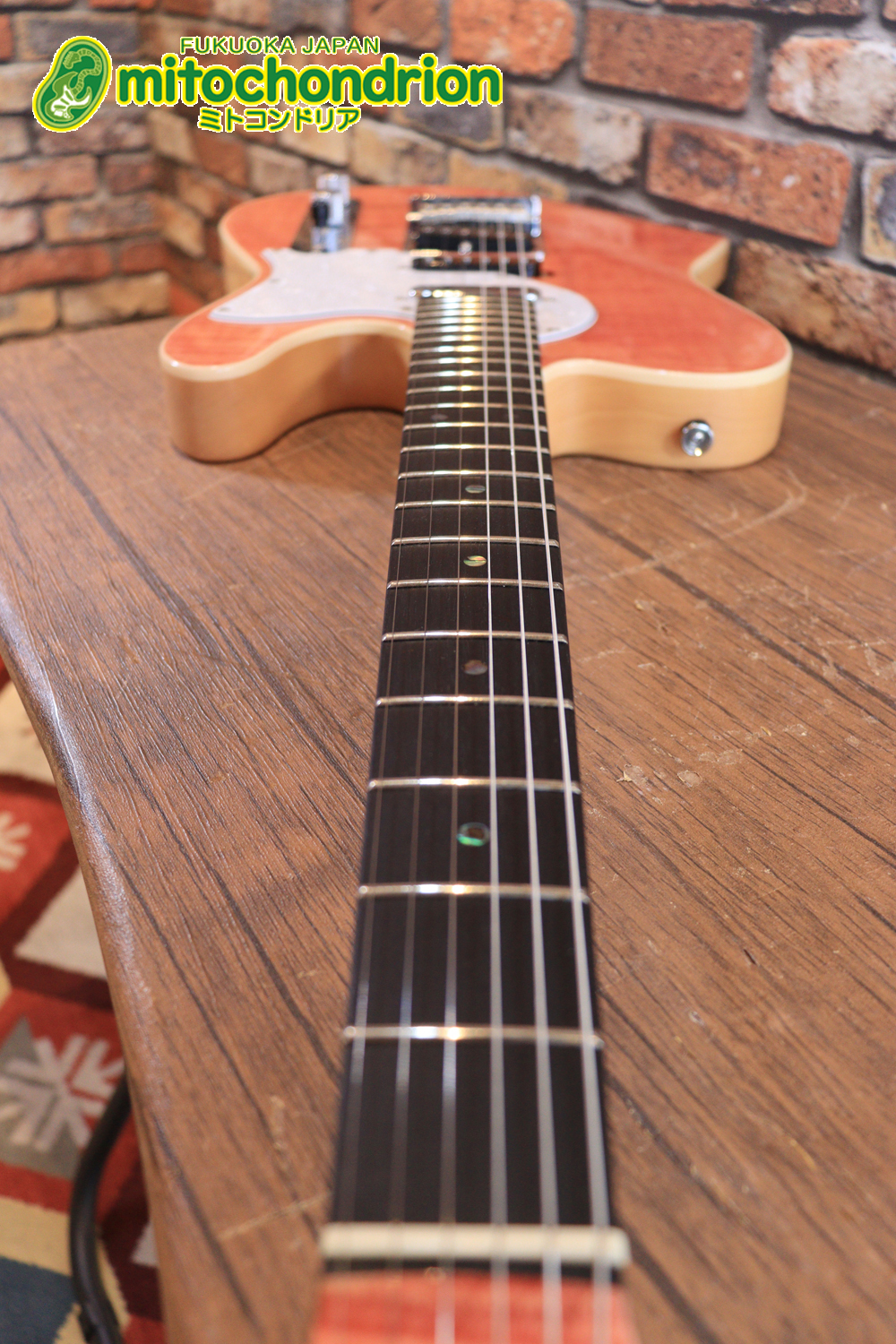 これから始める方にもお勧め！専用ギグケースが付属のテレキャスタータイプ！