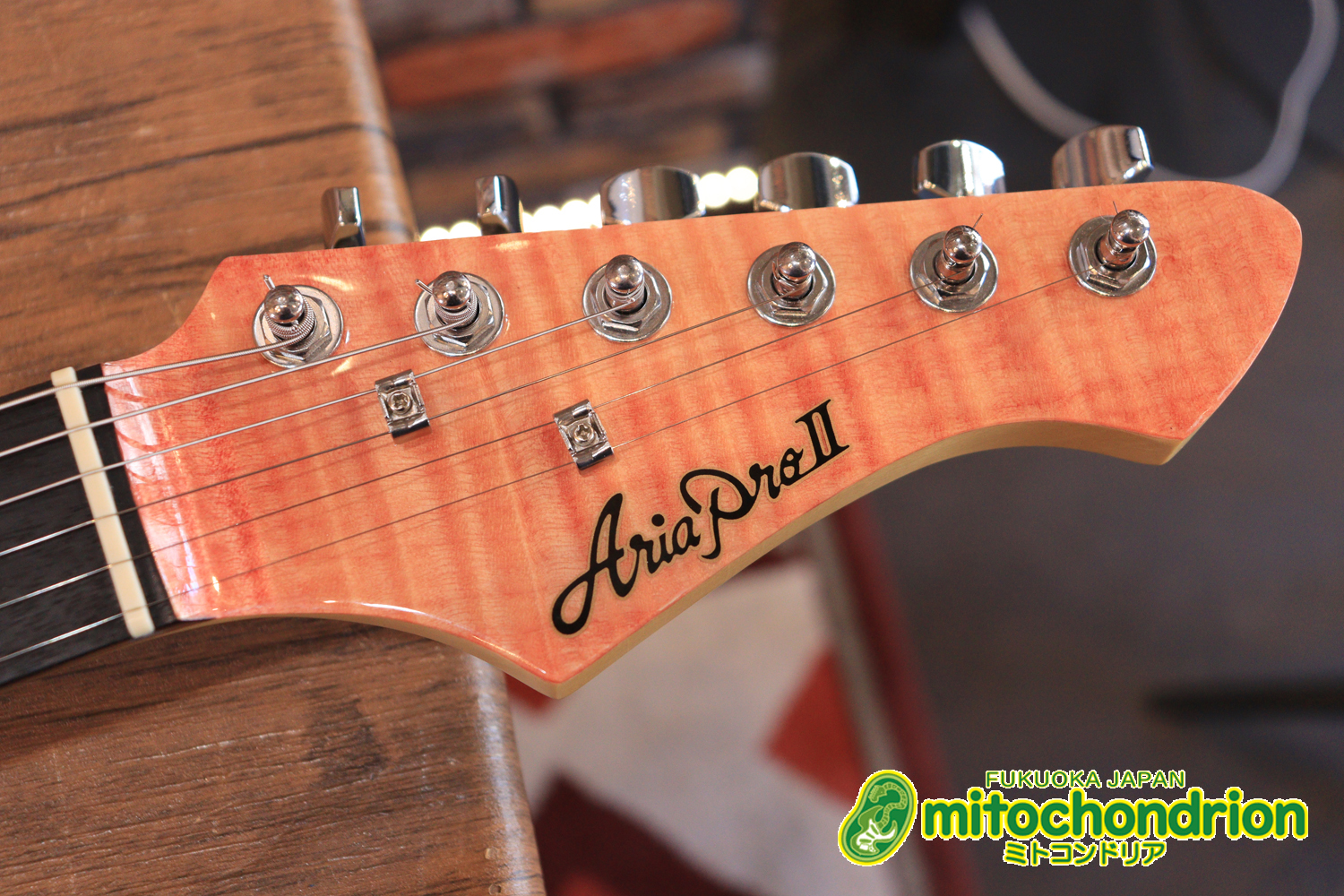 これから始める方にもお勧め！専用ギグケースが付属のテレキャスタータイプ！