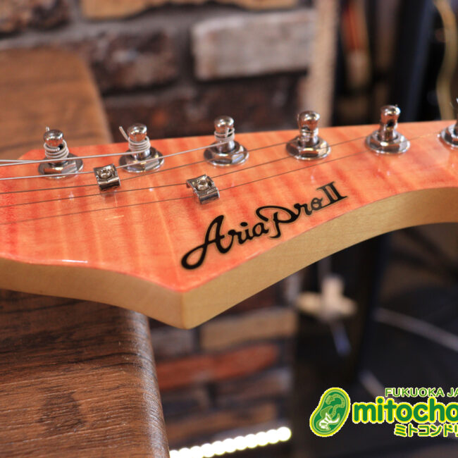 これから始める方にもお勧め！専用ギグケースが付属のテレキャスタータイプ！