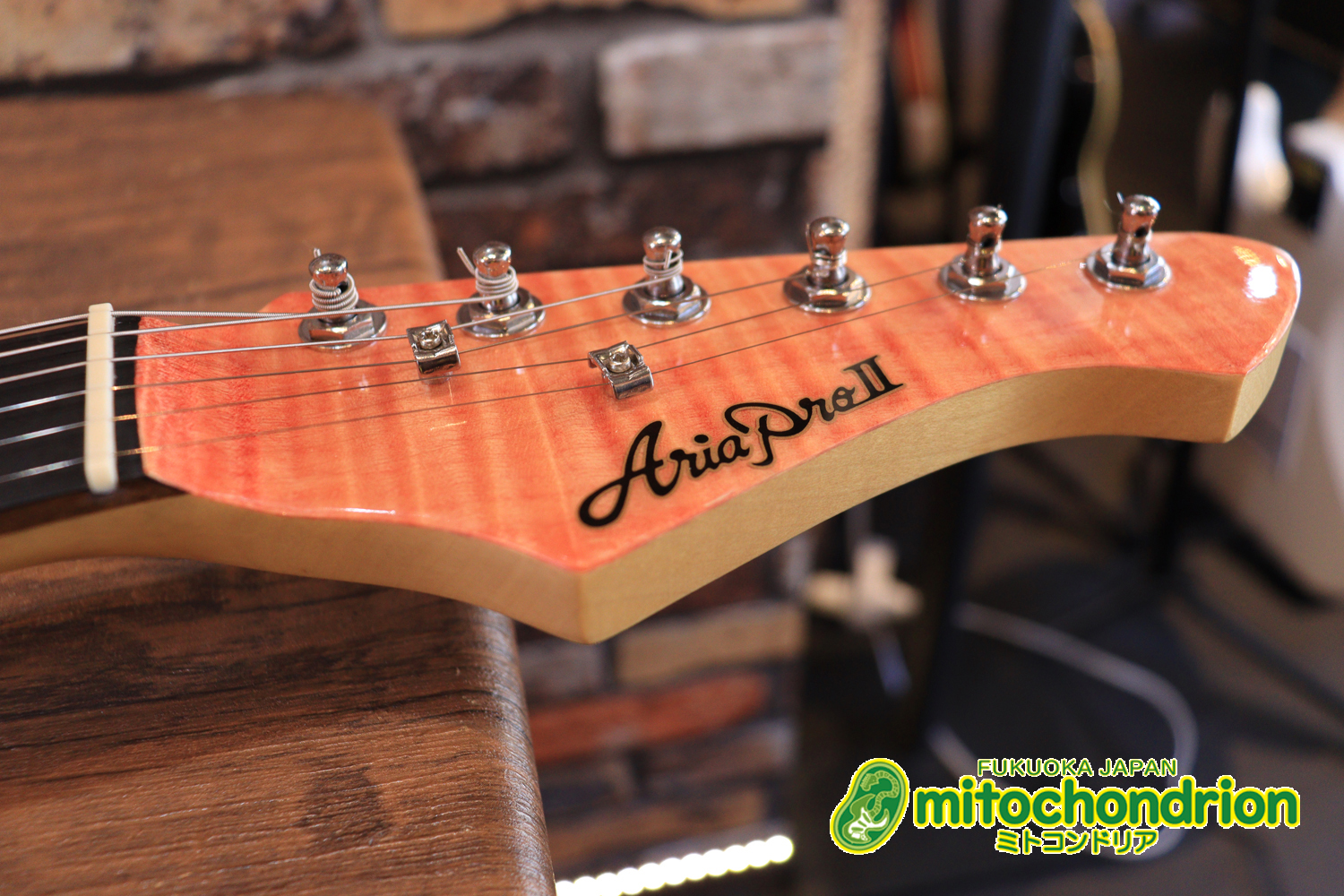 これから始める方にもお勧め！専用ギグケースが付属のテレキャスタータイプ！