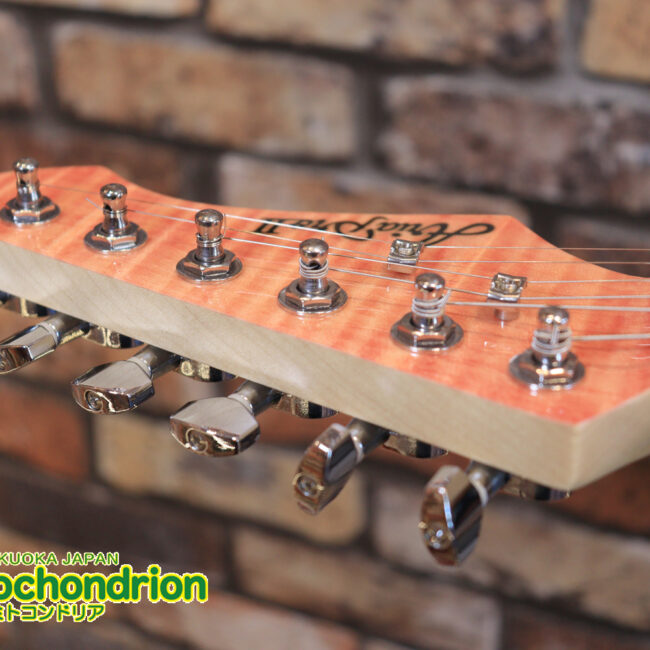 これから始める方にもお勧め！専用ギグケースが付属のテレキャスタータイプ！