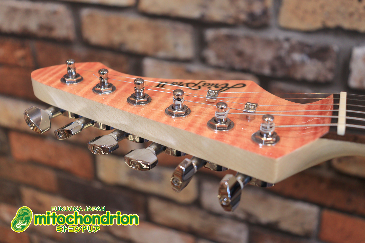 これから始める方にもお勧め！専用ギグケースが付属のテレキャスタータイプ！