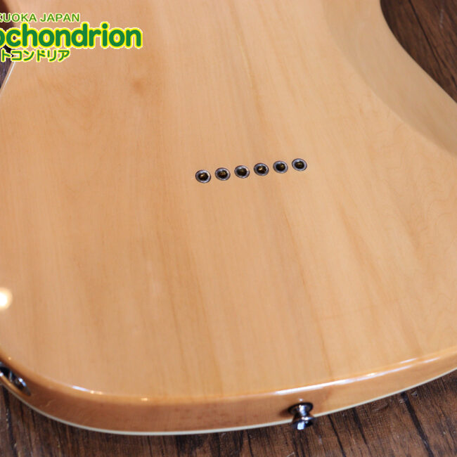 これから始める方にもお勧め！専用ギグケースが付属のテレキャスタータイプ！