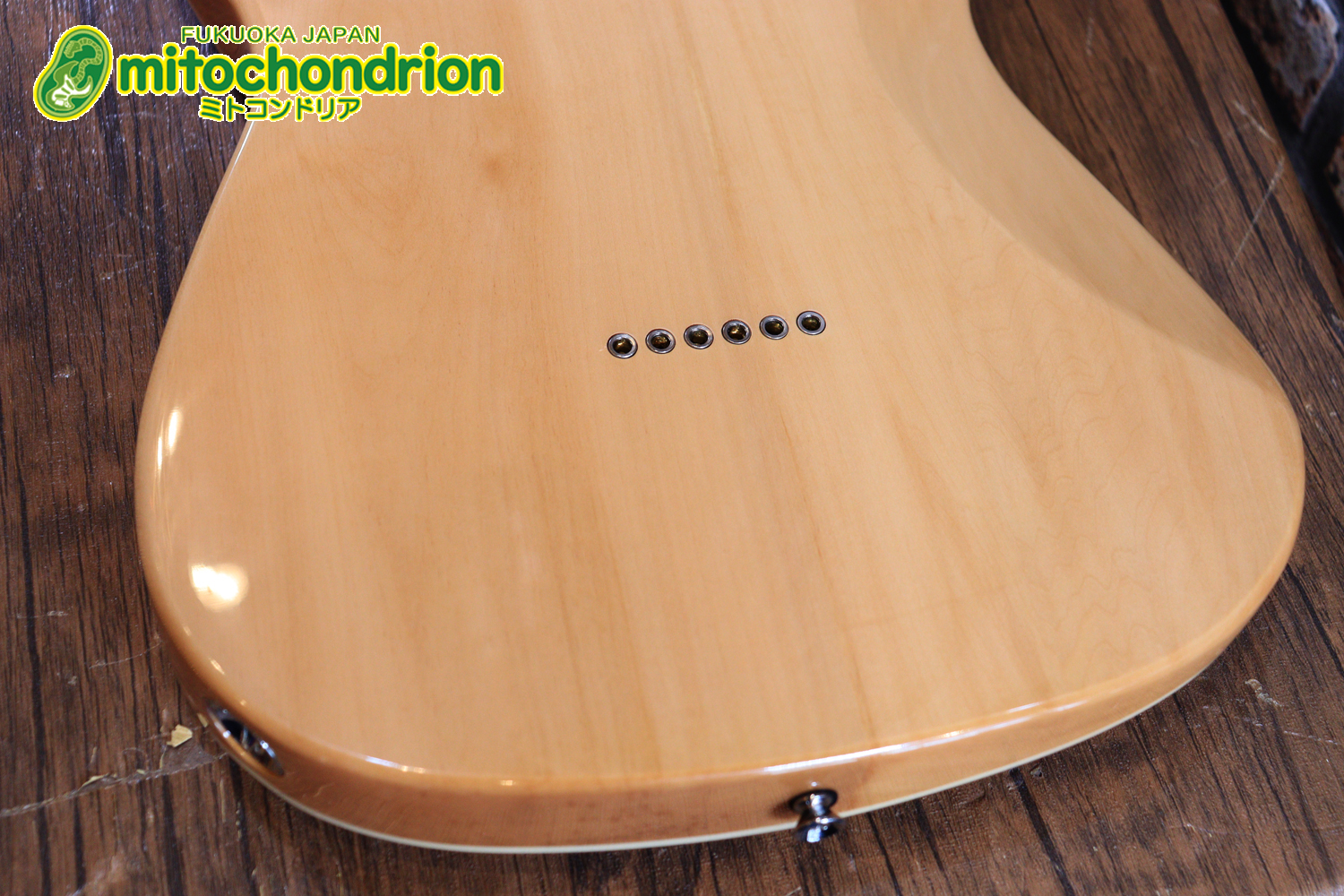 これから始める方にもお勧め！専用ギグケースが付属のテレキャスタータイプ！