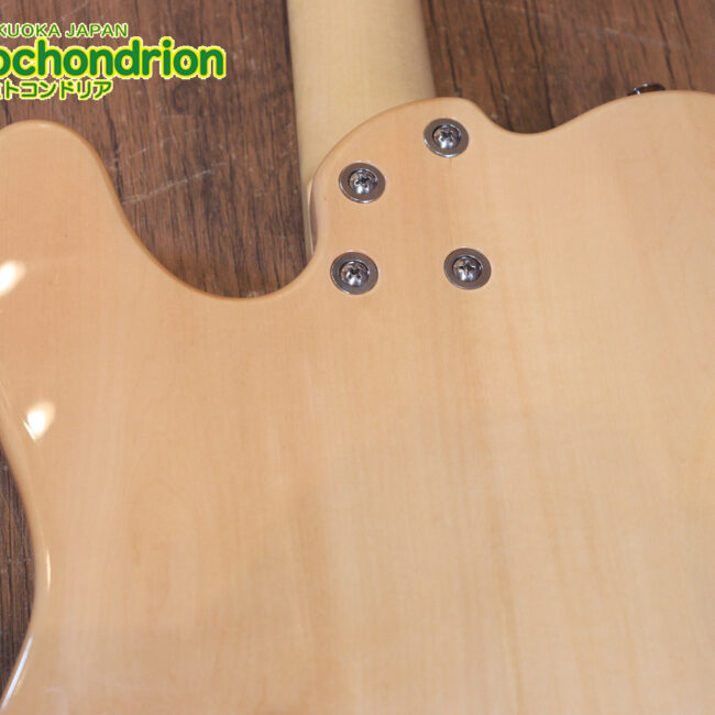 これから始める方にもお勧め！専用ギグケースが付属のテレキャスタータイプ！