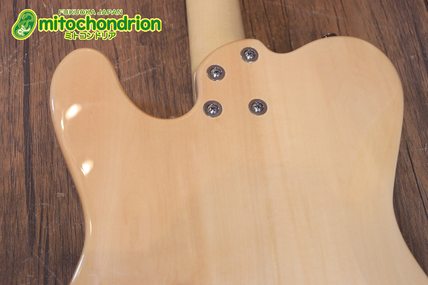 これから始める方にもお勧め！専用ギグケースが付属のテレキャスタータイプ！