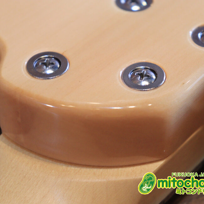 これから始める方にもお勧め！専用ギグケースが付属のテレキャスタータイプ！