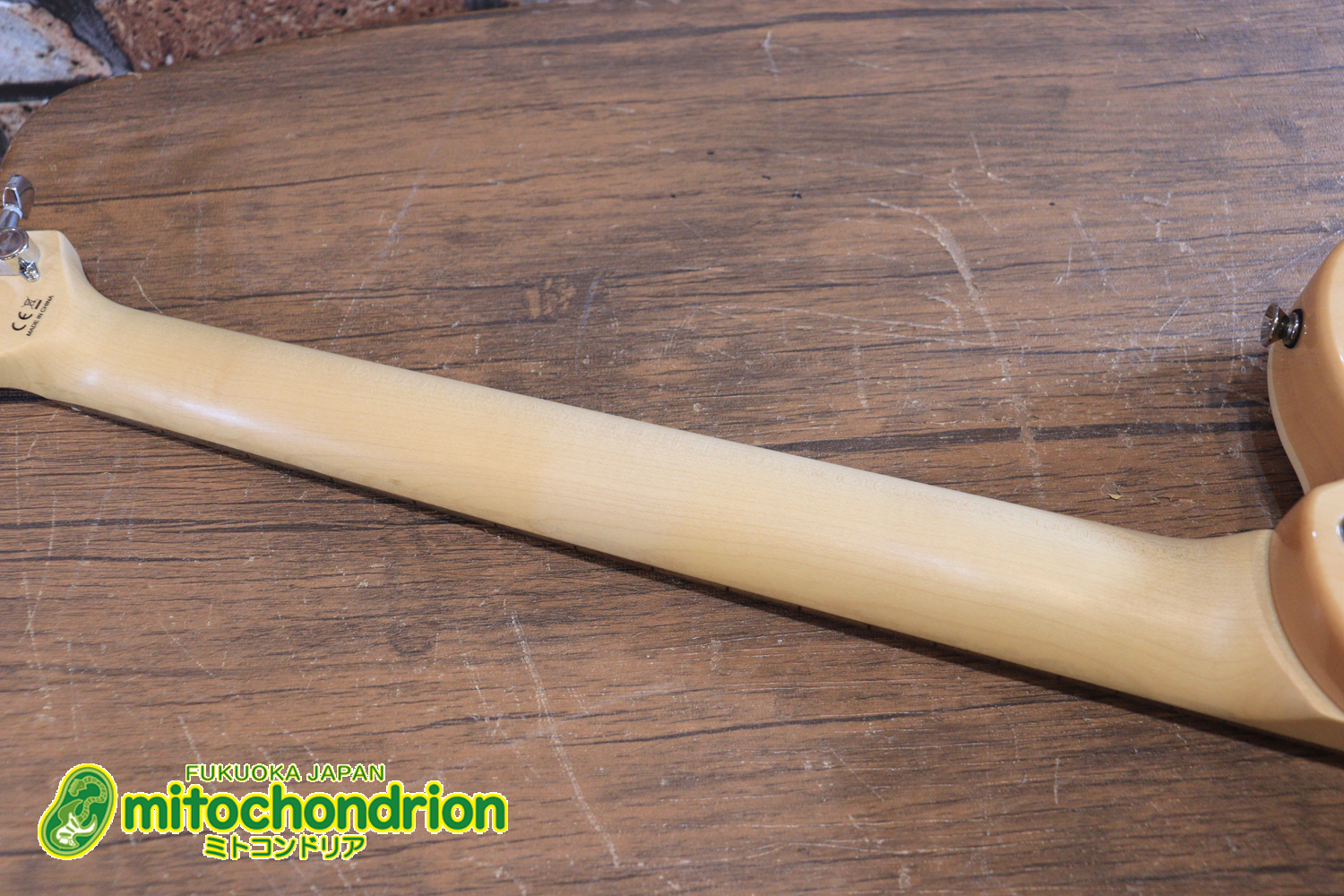 これから始める方にもお勧め！専用ギグケースが付属のテレキャスタータイプ！