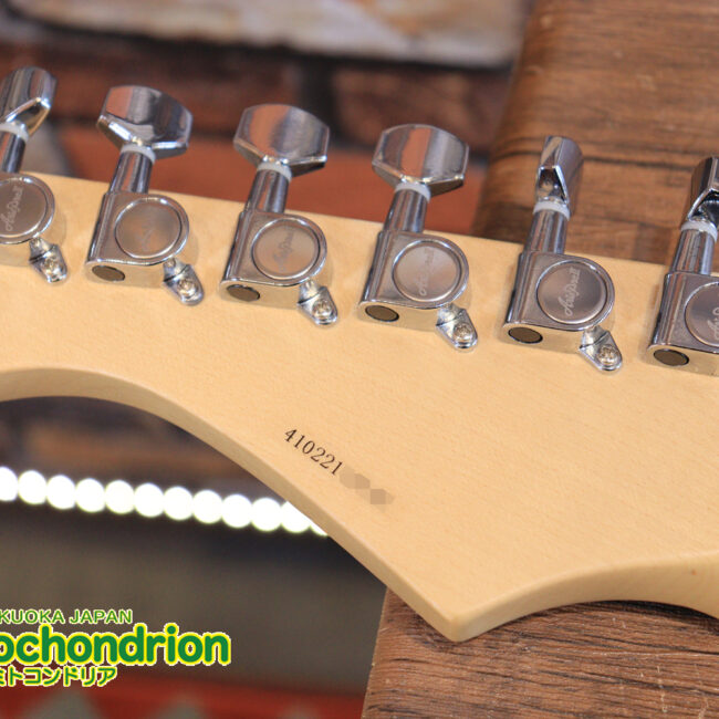 これから始める方にもお勧め！専用ギグケースが付属のテレキャスタータイプ！