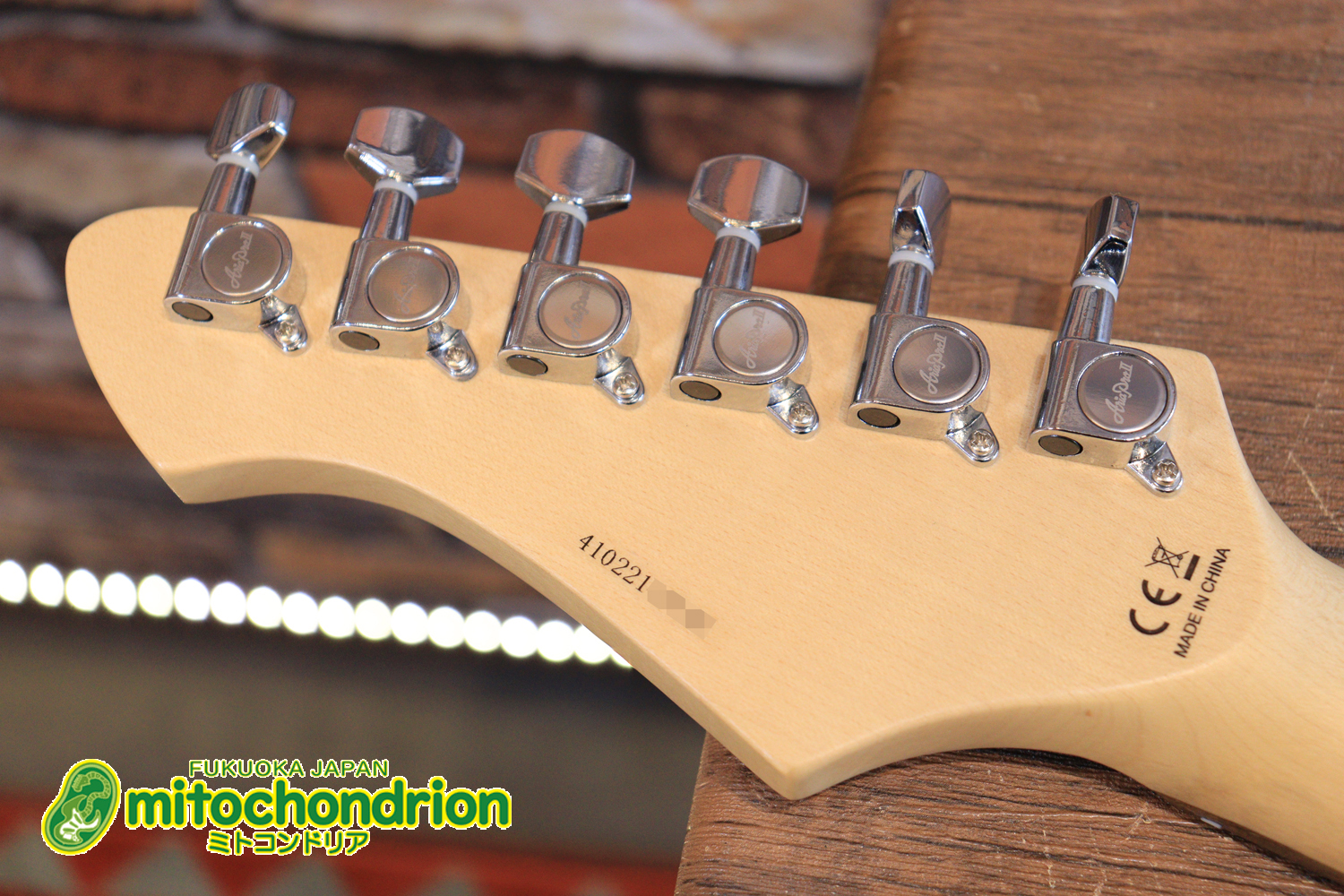 これから始める方にもお勧め！専用ギグケースが付属のテレキャスタータイプ！