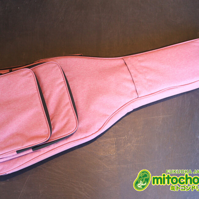 これから始める方にもお勧め！専用ギグケースが付属のテレキャスタータイプ！