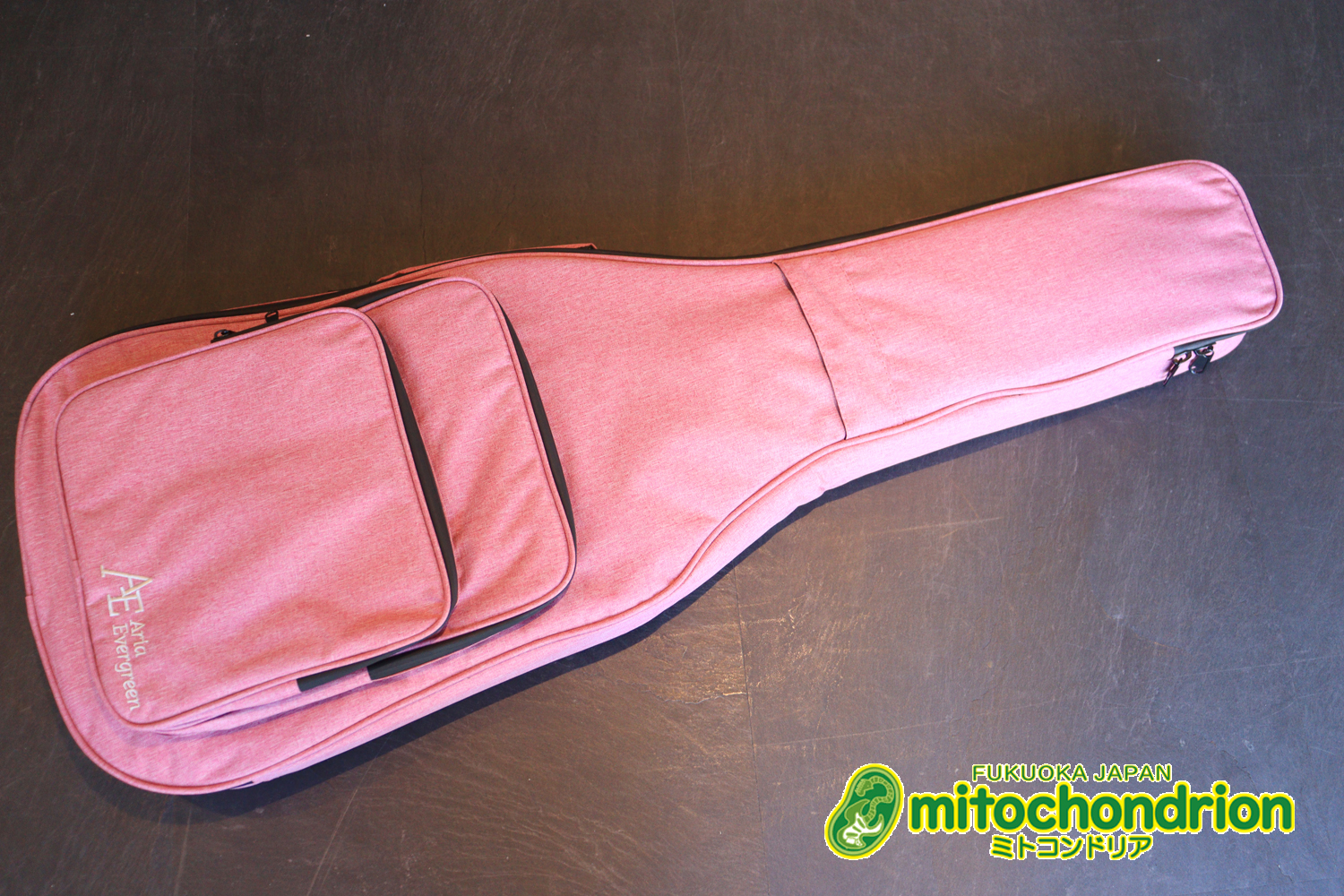 これから始める方にもお勧め！専用ギグケースが付属のテレキャスタータイプ！