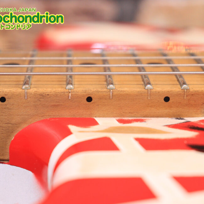 ノーブランドのフランケンです！ダンカンピックアップ&フロイドローズ搭載！