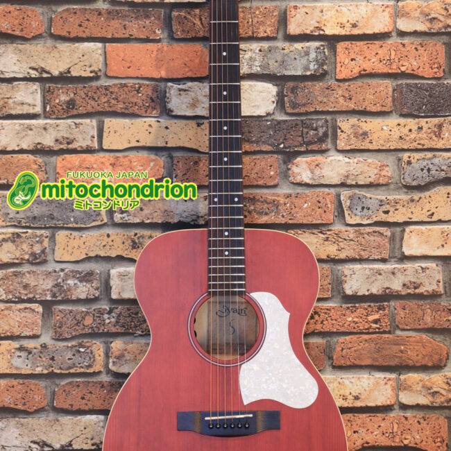 これから始める方にもお勧め！艶消しブラックのエレアコ！クリップチューナーとカポ付きです！！