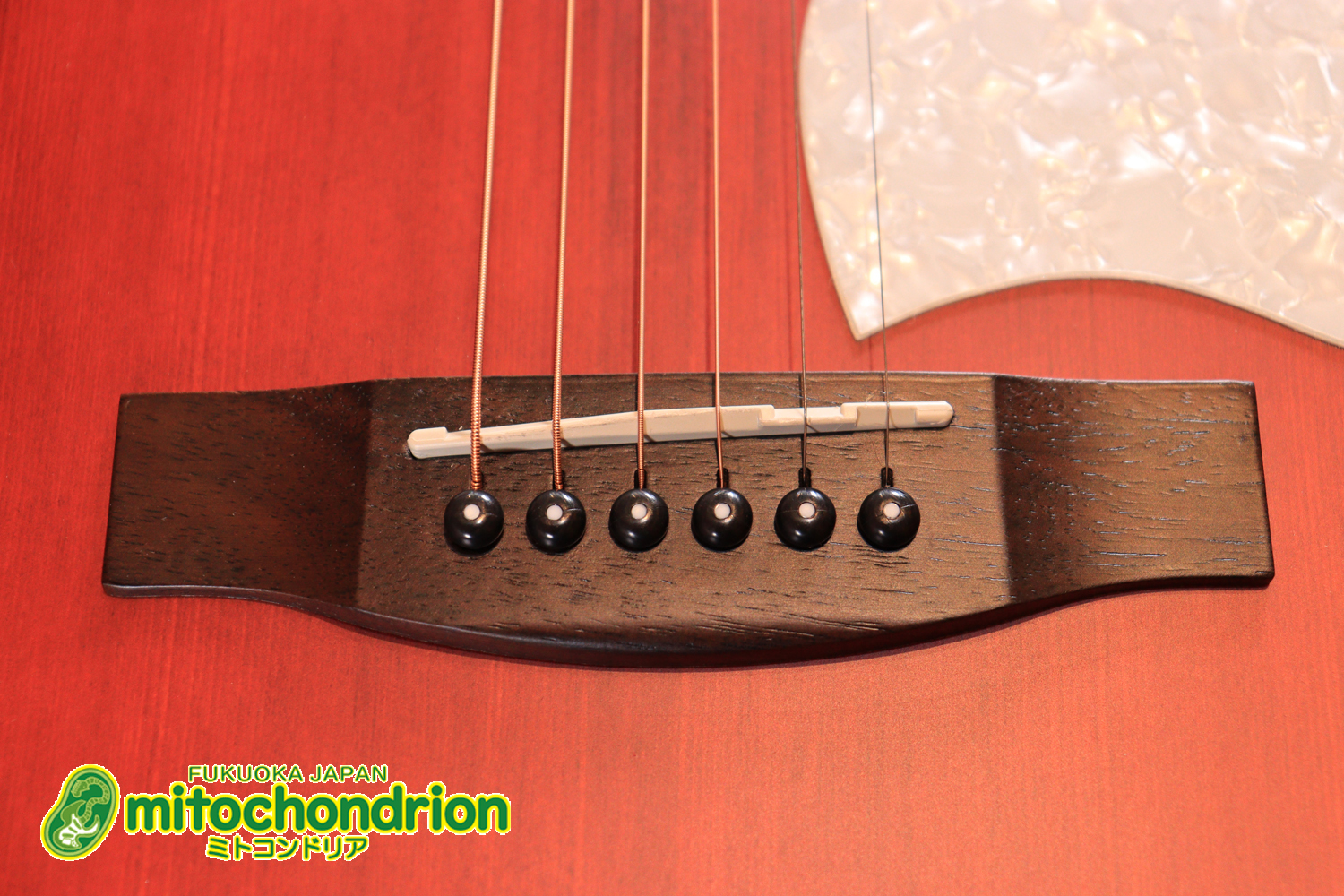 これから始める方にもお勧め！艶消しブラックのエレアコ！クリップチューナーとカポ付きです！！