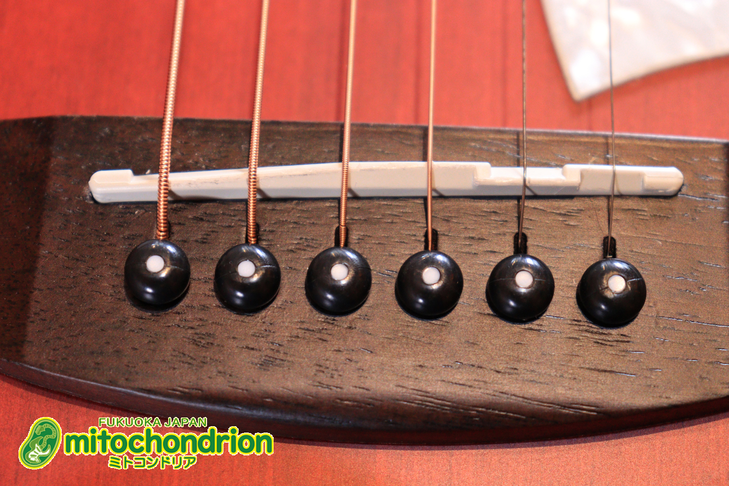 これから始める方にもお勧め！艶消しブラックのエレアコ！クリップチューナーとカポ付きです！！