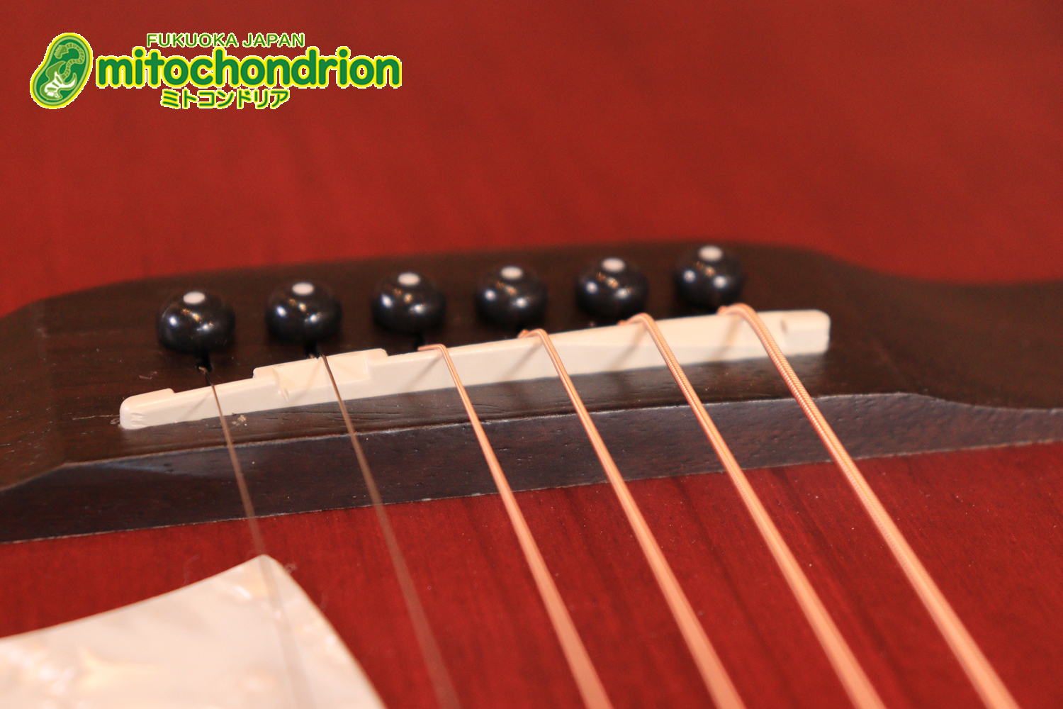 これから始める方にもお勧め！艶消しブラックのエレアコ！クリップチューナーとカポ付きです！！