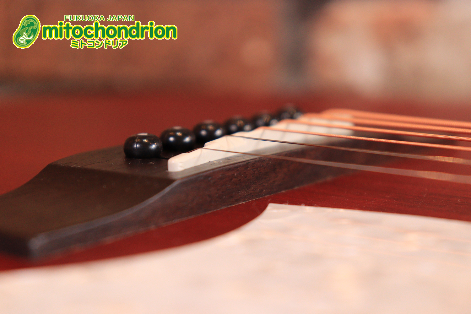 これから始める方にもお勧め！艶消しブラックのエレアコ！クリップチューナーとカポ付きです！！