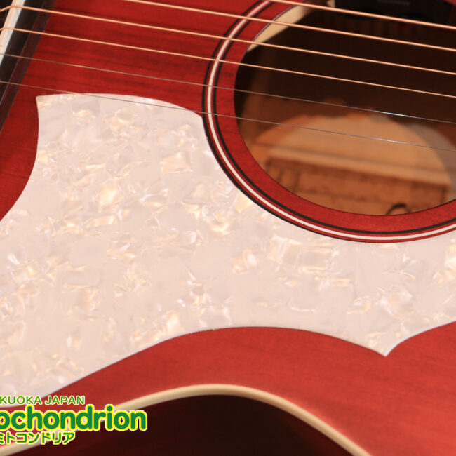 これから始める方にもお勧め！艶消しブラックのエレアコ！クリップチューナーとカポ付きです！！