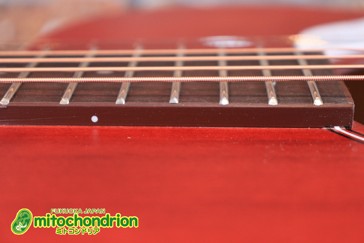 これから始める方にもお勧め！艶消しブラックのエレアコ！クリップチューナーとカポ付きです！！