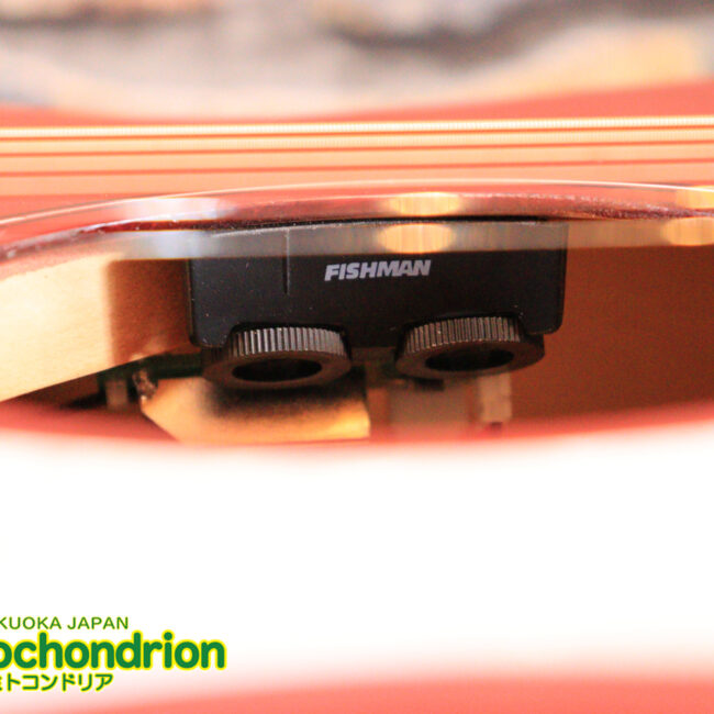 これから始める方にもお勧め！艶消しブラックのエレアコ！クリップチューナーとカポ付きです！！