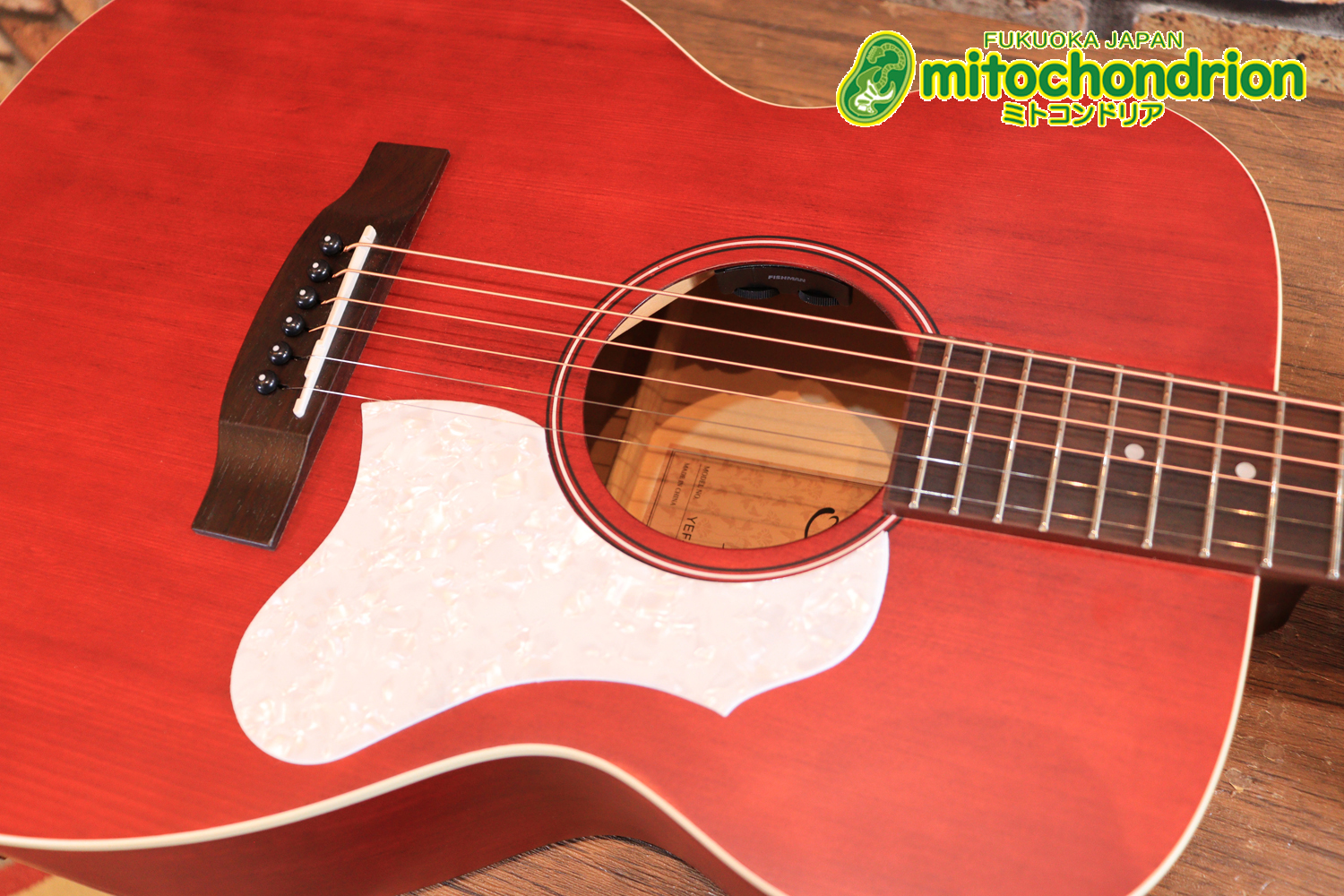 これから始める方にもお勧め！艶消しブラックのエレアコ！クリップチューナーとカポ付きです！！