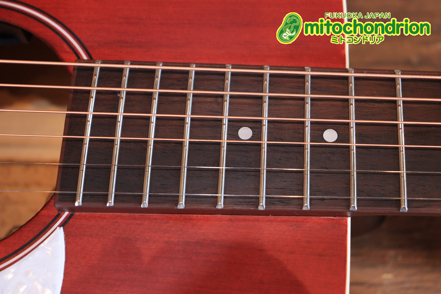 これから始める方にもお勧め！艶消しブラックのエレアコ！クリップチューナーとカポ付きです！！