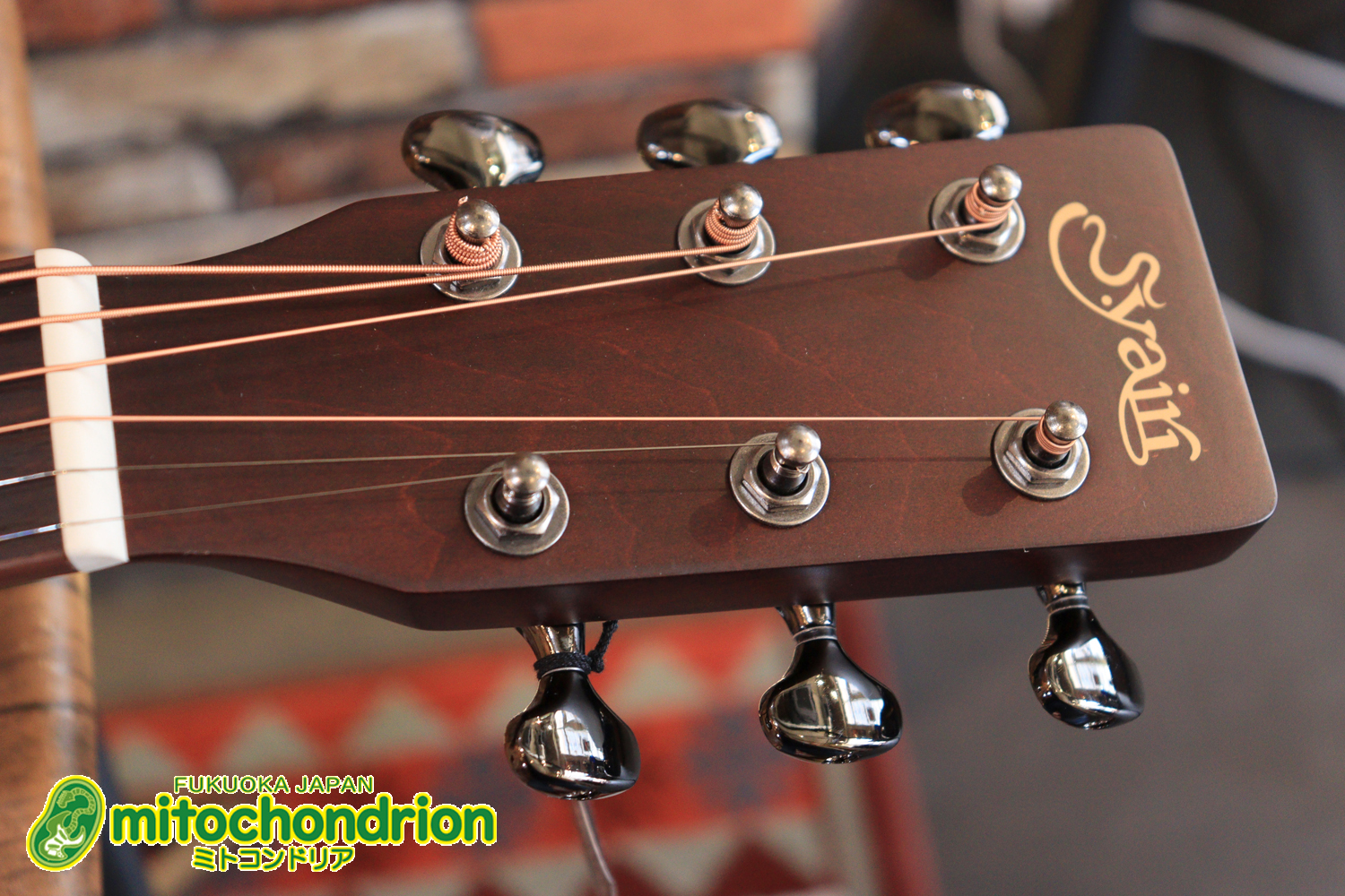 これから始める方にもお勧め！艶消しブラックのエレアコ！クリップチューナーとカポ付きです！！