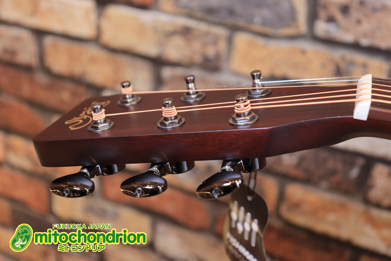 これから始める方にもお勧め！艶消しブラックのエレアコ！クリップチューナーとカポ付きです！！