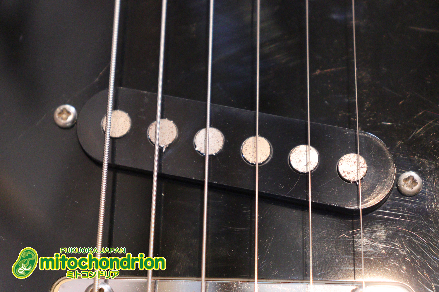 TokaiのオリジナルシェイプのSXシリーズ！状態も良いです！