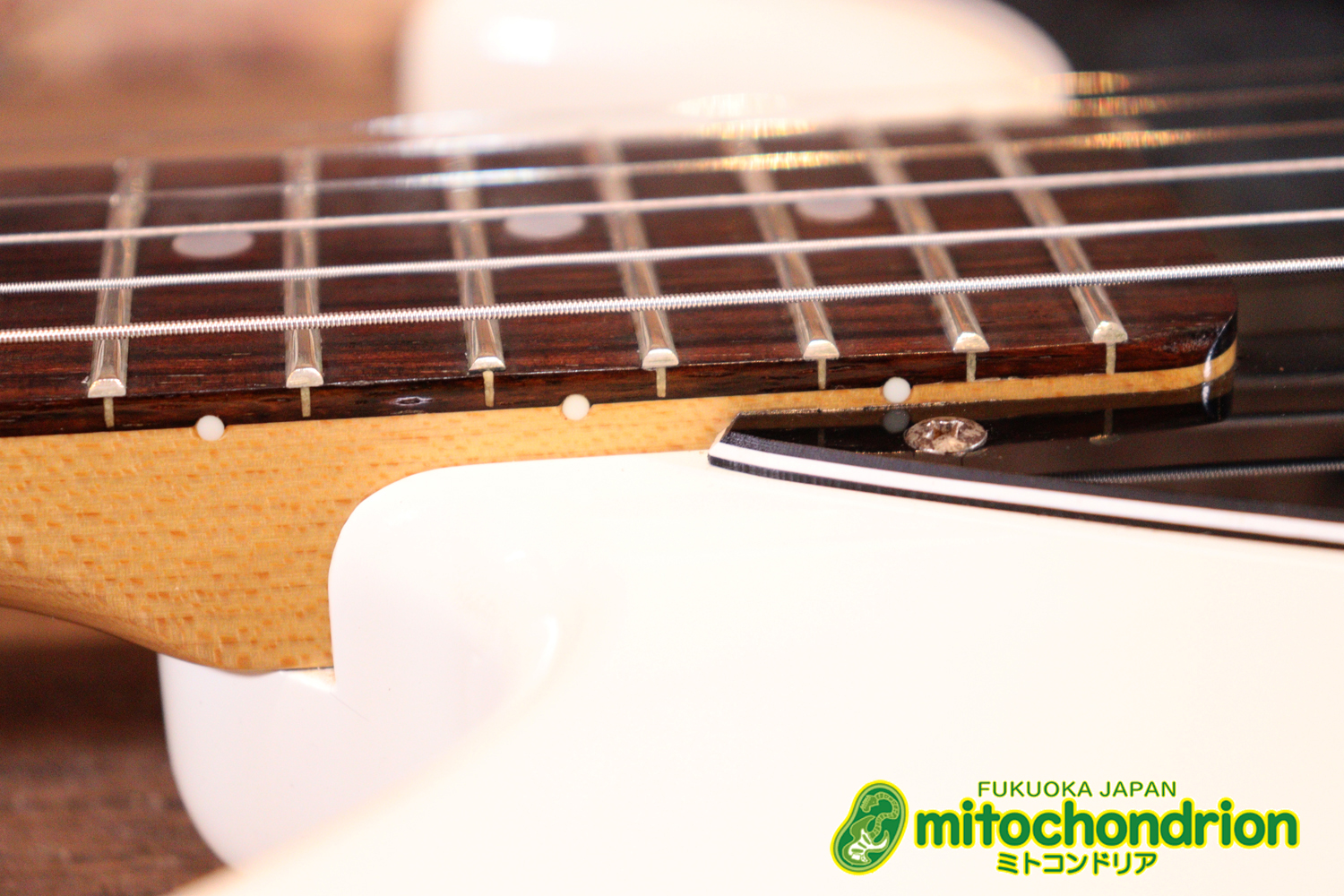 TokaiのオリジナルシェイプのSXシリーズ！状態も良いです！