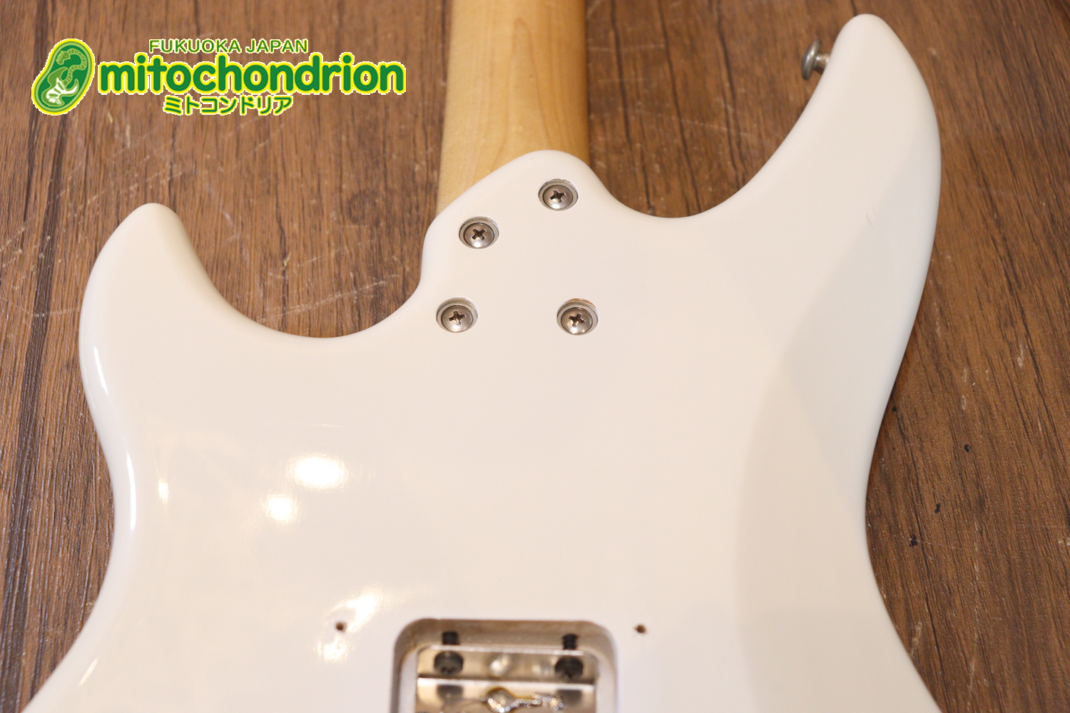 TokaiのオリジナルシェイプのSXシリーズ！状態も良いです！