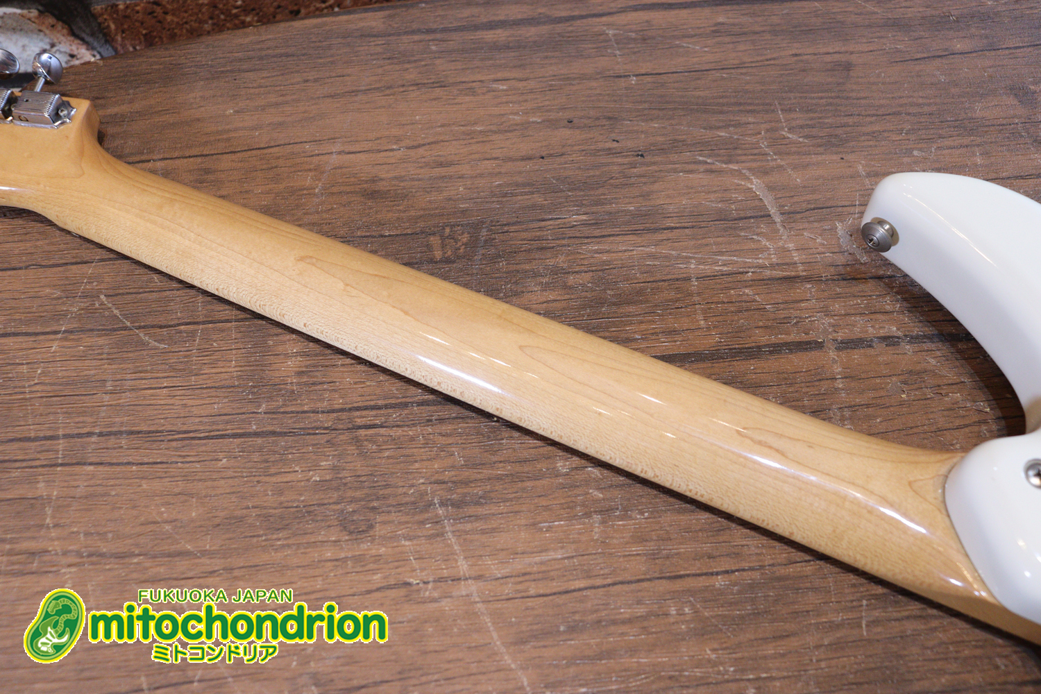 TokaiのオリジナルシェイプのSXシリーズ！状態も良いです！